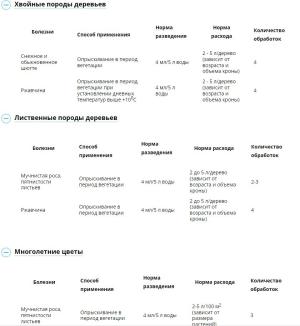 Ракурс (Август), 48 мл - картинка 3
