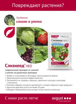 Слизнеед Нео (Август), 56 г - картинка 2