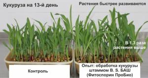 Фитоспорин ПроБио микробиолическое удобрение, 0.5 л - картинка 7