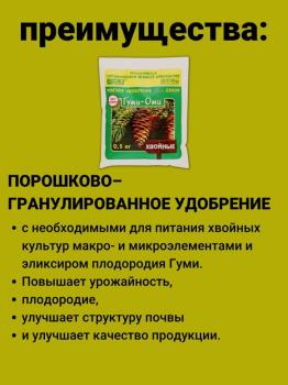 Гуми-Оми Хвойные, 0.5 кг - картинка 2