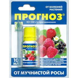 Прогноз (Грин Бэлт), 10 мл - картинка 1