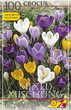 Крокус крупноцветковый смесь (Crocus vernus Mixed), 100 шт - картинка 2