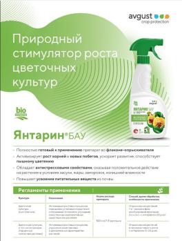 Янтарин (Август), 500 мл - картинка 2