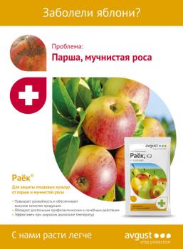 Раёк® + Биотлин® Двойная защита! (Август), 10 мл + 9 мл - картинка 6