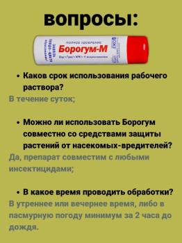 Борогум-М Завязь, 0.2 л - картинка 11