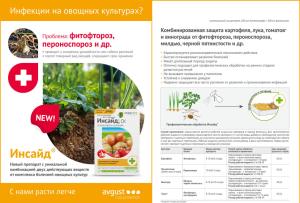 Инсайд СК (Август), 10 мл - картинка 2