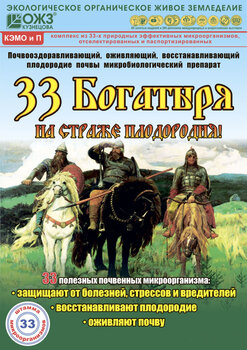 33 Богатыря (почвооздоравливающий микробиологический препарат), 5 л - картинка 4