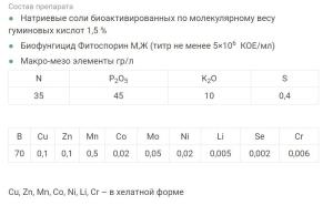 Борогум-М Завязь, 0.2 л - картинка 14