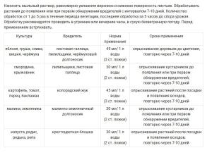 Мыло дегтярное пробиотическое Кыш-вредитель Жук, 0.5 л - картинка 3