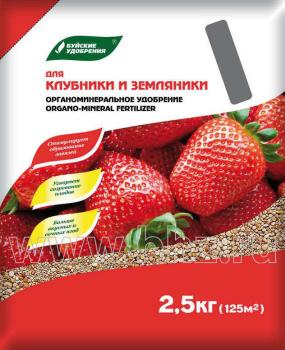 Органоминеральное удобрение "Для клубники, земляники" серия Элит, 2,5 кг - картинка 1