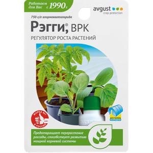 Рэгги (Август), 10 мл - картинка 1