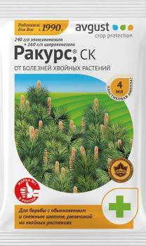 Ракурс (Август), 4 мл - картинка 1