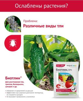 Биотлин ВРК (Август), 3 мл - картинка 3