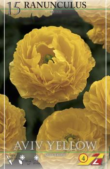 Ранункулюс Авив Джун (Ranunculus Aviv Jaune), 15 шт (разбор 7/8) - картинка 3