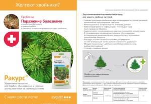 Ракурс (Август), 4 мл - картинка 2