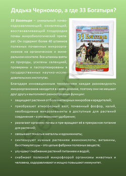 33 Богатыря (почвооздоравливающий микробиологический препарат), 5 л - картинка 7