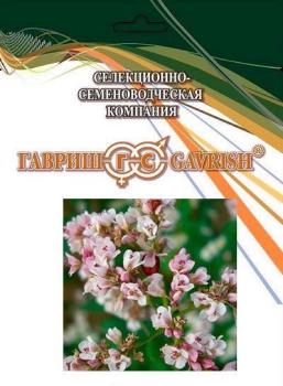 Гречиха Сумчанка (медонос), 0.5 кг - картинка 2