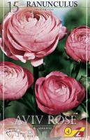 Ранункулюс Авив Роуз (Ranunculus Aviv Rose=Pink), 15 шт (разбор 7/8)