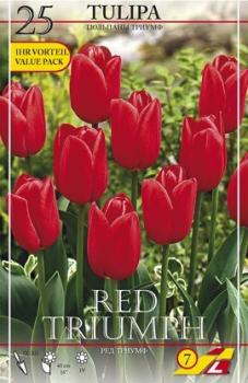 Тюльпан Ред Триумф (Red Triumph), 25 шт - картинка 4